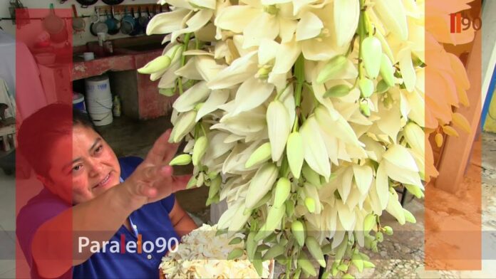A comer con Jonás Chileatole con flor de Izote