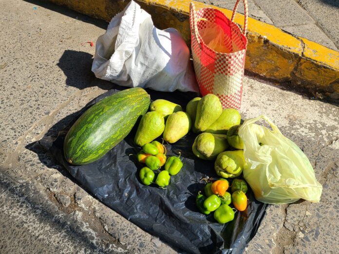 Alimentación de temporada: la clave para una dieta más saludable y sostenible en Veracruz