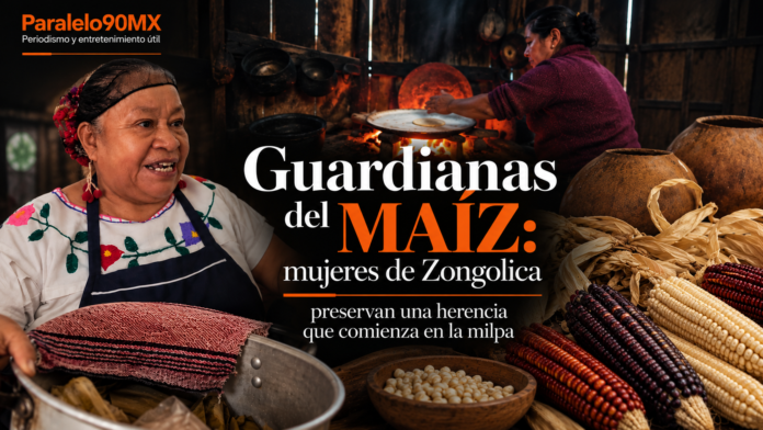 Maíz