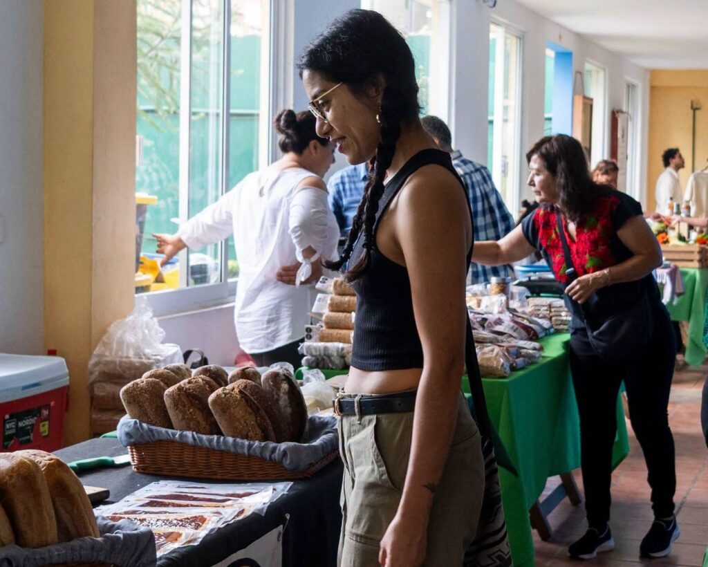 Tianguis Agroecológico de Xalapa