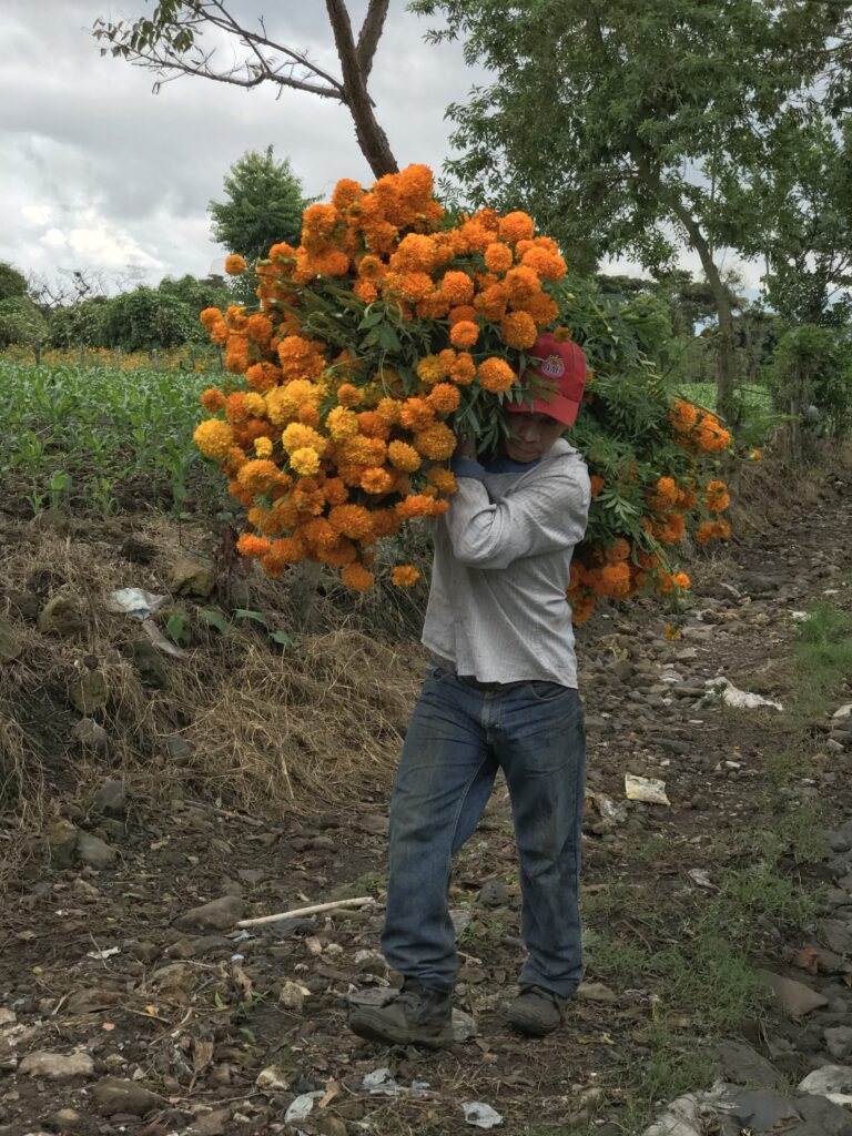 San Pablo coapan